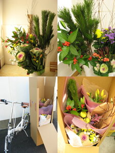 Vt؉ԕ܁IIᏼE10,000~R[X