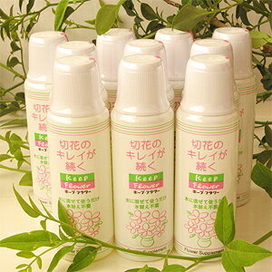 ؉Ԋ͍܁EL[vt[i10{Zbgj