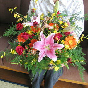 ؂ȂԂ𑡂肽Ioƃ̉؂₩ԂłB