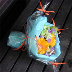 aɑ肽IL[gȃbsỎԑiu[j