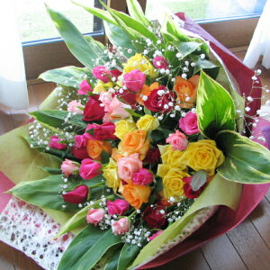 o ԑ җj v[g a Mtg җ aj j ԃo ԑ t[MtgᑗN[֑݁⍋؂ȃo50{̉ԑyzyyMt_bŹz