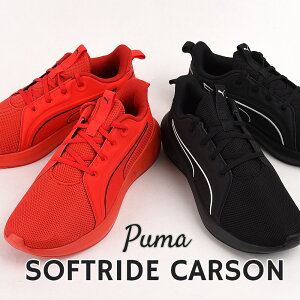v[} Y Xj[J[ jOV[Y NbV ₷ RC puma X|[c JWA C t@bV ^ [Jbg SOFTRIDE J[\ 310154 01 03  