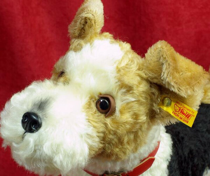 楽天市場】シュタイフ テディベア Steiff フォクシー フォックステリア 