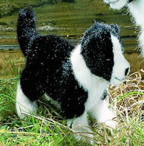 P[Z ʂ kosen {[_[R[̎q 20cm gEddyh Border Collie Puppy   A 