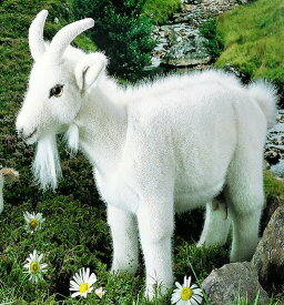ケーセン ぬいぐるみ kosen 白やぎ 33cm “Fanny” White Goat リアル 動物 子供 女の子 男の子
