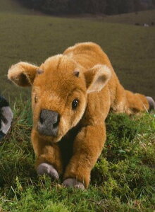 P[Z ʂ kosen ˂ׂ苍 } 37cm gWitush Calf A  q ̎q j̎q