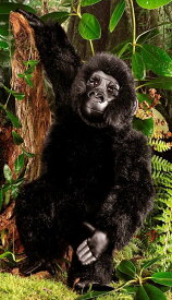 ケーセン ぬいぐるみ kosen ゴリラの子 28cm Baby Gorilla リアル 動物