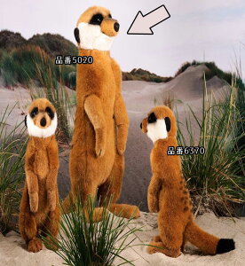 P[Z ʂ kosen ~[ALbg 38cm gFritzh Meerkat A 