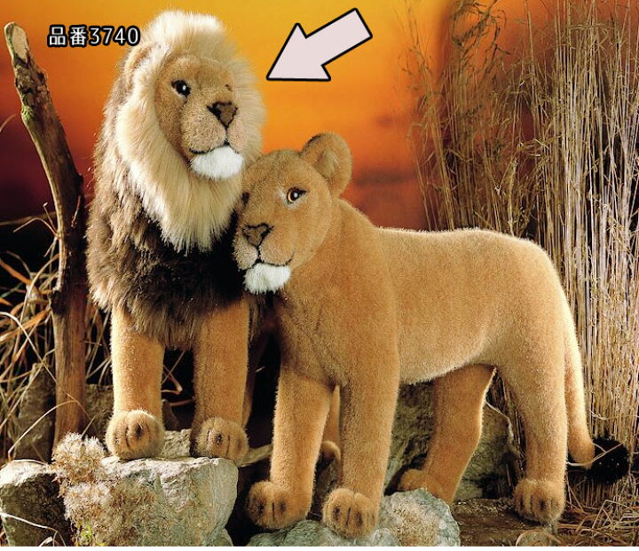 楽天市場】ケーセン ぬいぐるみ Kosen おすライオン 48cm Lion 【 オス 