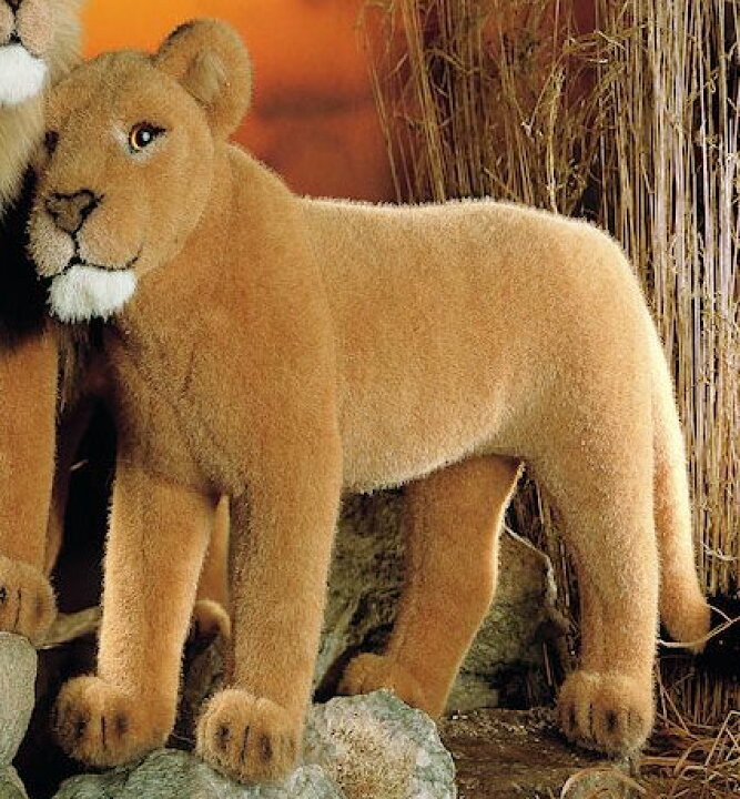 楽天市場】ケーセン ぬいぐるみ Kosen めすライオン 48cm Lioness 