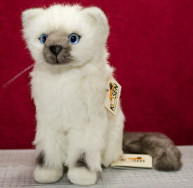 ケーセン ぬいぐるみ Koesen ビルマ子猫「シリ」 23cm 【 リアル 動物 猫 ねこ ネコ 子猫 置物 インテリア ギフト プレゼント クリスマス 】 kosen