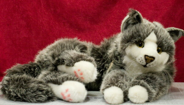 楽天市場 ケーセン ぬいぐるみ Kosen ねそべり猫 大 メインクーン グレー 74cm Maine Coon Gray Cat ねこ ねこ ネコ 猫 リアル 動物 テディベア専門店 アイビールーム