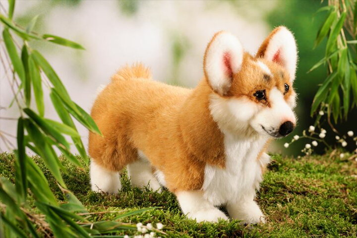 楽天市場】ウェルシュ・コーギー KOSEN ケーセン 34cm ぬいぐるみ 犬 