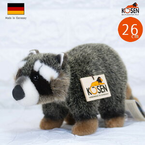 P[Z ʂ kosen ACO}i~jj 26cm gWillih Raccoon A 