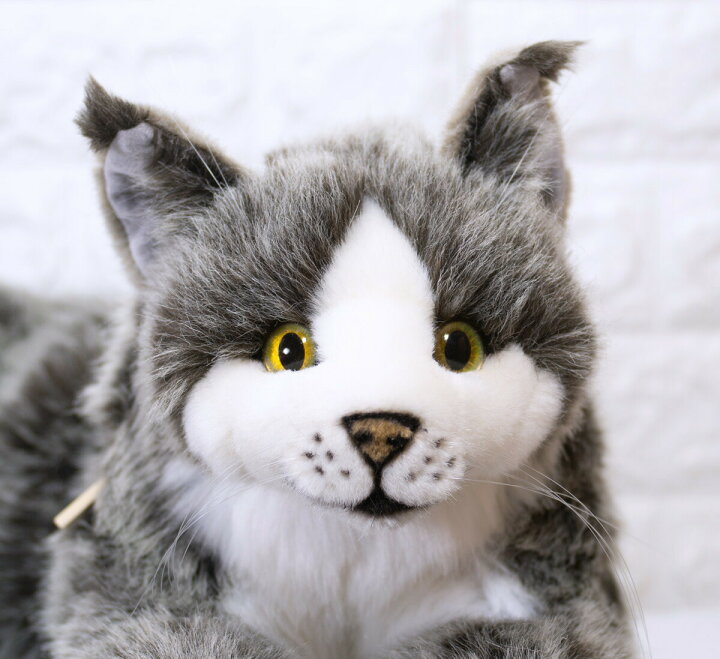楽天市場】ケーセン ぬいぐるみ kosen ねそべり猫(大)メインクーン 