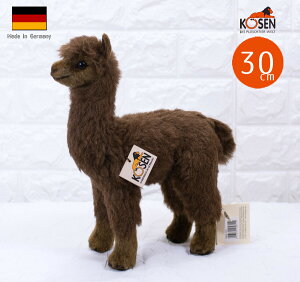 P[Z ʂ kosen ApJ (uEj 30cm A  q ̎q j̎q