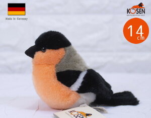 P[Z ʂ kosen  E\ 18cm gDompfaffh Bullfinch  A 