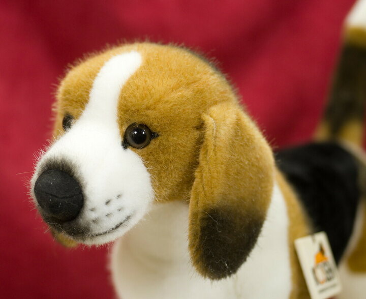 楽天市場】ケーセン ぬいぐるみ kosen ビーグル 34cm BEAGLE 犬 いぬ  