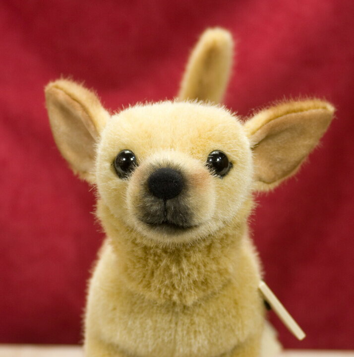 楽天市場】ケーセン ぬいぐるみ kosen 社 チワワ 27cm CHIHUAHUA 犬 