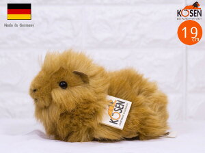 P[Z ʂ kosen bg CguE 19cm  A 