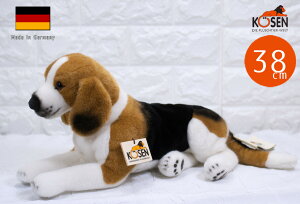 P[Z ʂ kosen r[O (j 38cm Ck   A 