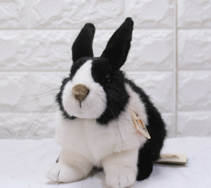 楽天市場】ケーセン ぬいぐるみ kosen うさぎ 白黒 25cm Dutch Rabbit 