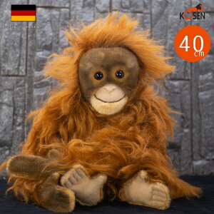 P[Z ʂ kosen IE[^ 40cm A 