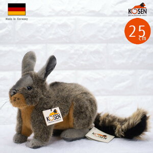 P[Z ʂ kosen rXJb` 25cm VISCACHA CHINCHILLA ˂ A 
