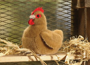 P[Z ʂ kosen Č{ jg bhuE 14cm Hen, small, red-brown A 