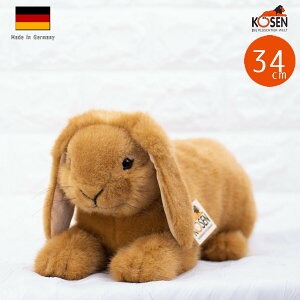 P[Z ʂ kosen h[trbg  ETM x[W Qׂ 34cm A  q ̎q j̎q