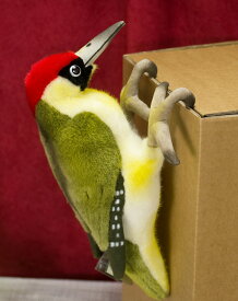 ケーセン ぬいぐるみ kosen ヨーロッパアオゲラ 27cm Eurasian Green Woodpecker 鳥 リアル 動物