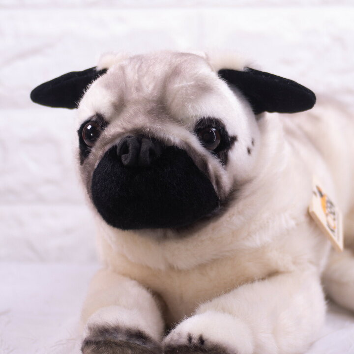 楽天市場】ケーセン ぬいぐるみ kosen パグ 伏せ 41cm “Sir Henry” Pug 