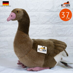 P[Z ʂ kosen K`E  37cm Gray (Brown) Goose  A 