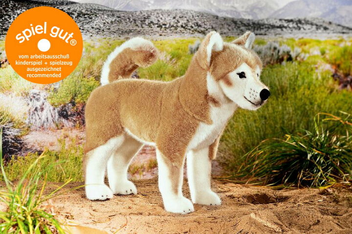 楽天市場】ケーセン ぬいぐるみ Kosen 柴犬 (大) 37cm 【 犬 いぬ 