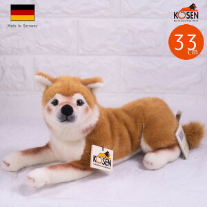 P[Z ʂ kosen Čijybgl߃^Cv 33cm  A 