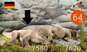 �P�[�Z�� �ʂ������ kosen �I�I�g�J�Q (��) 64cm