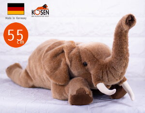 P[Z ʂ kosen  ]E Qׂ 55cm A 