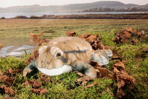 P[Z ʂ JG Ђ S25cm A hCc i  v[g Mtg CeA RNV X̒