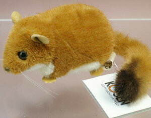 P[Z ʂ kosen [bp}l 24cm A 