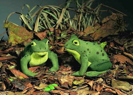 ケーセン ぬいぐるみ kosen かえる カエル （ハインリヒ） 15cm “Heinrich” Frog リアル 動物