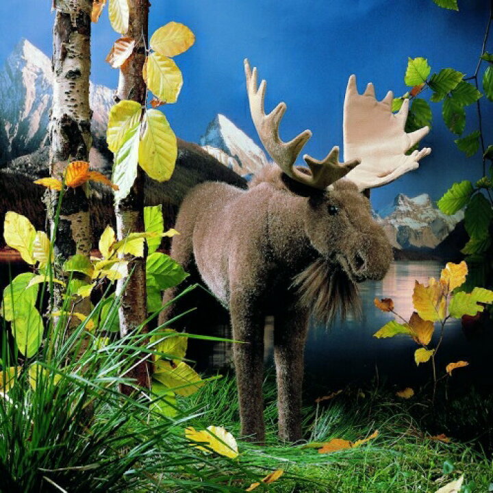 ケーセン ぬいぐるみ Kosen ヘラジカ 44cm Moose エルク 鹿 リアル 動物 テディベア専門店 アイビールーム