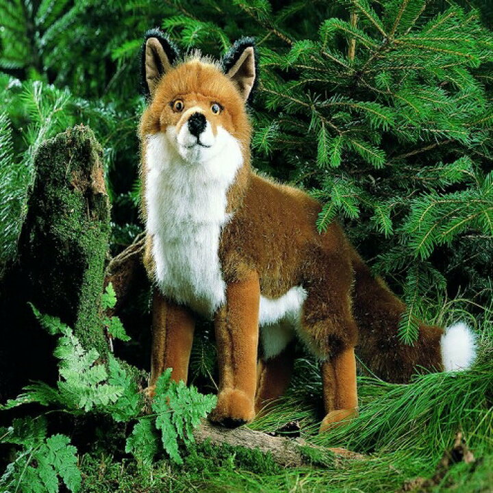 楽天市場】ケーセン ぬいぐるみ kosen きつね 43cm “Felix” Fox リアル 