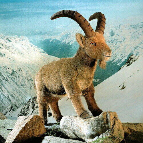 楽天市場 ケーセン ぬいぐるみ Kosen アイベックス 35cm Louis Ibex リアル 動物 テディベア専門店 アイビールーム