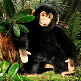 ケーセン ぬいぐるみ kosen チンパンジー 40cm Chimpanzee リアル 動物
