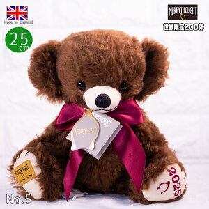 [\[g `[L[C[xA2025 25cm E [\[g Mrrythought efBxA ʂ