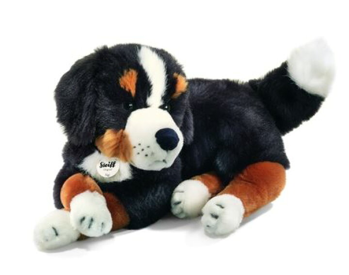 楽天市場】シュタイフ テディベア Steiff シギ バーニーズ マウンテン 