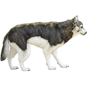 nT HANSA XуIIJ~  100cm