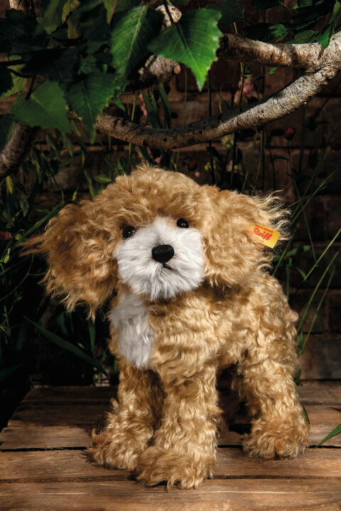 楽天市場】シュタイフ テディベア Steiff コッカープー リッキー Ricky 