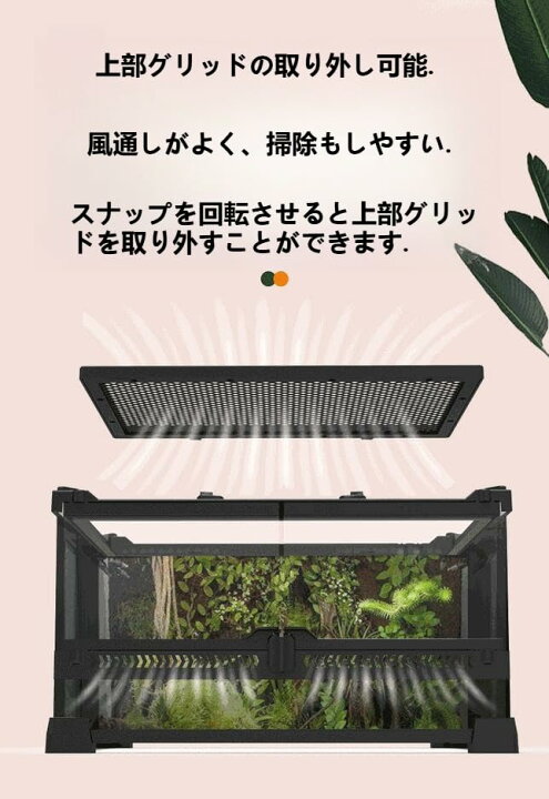 楽天市場】【500円OFFクーポン+P5！☆爬虫類専用】 爬虫類ケージ 
