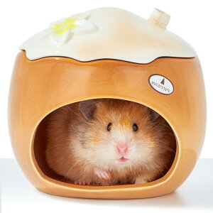 nX^[ nEX Z~bN  LmR` Q Ђ ΍ LN} S[f WKA {tXL[ h[tnX^[   BƁi~Ăgp